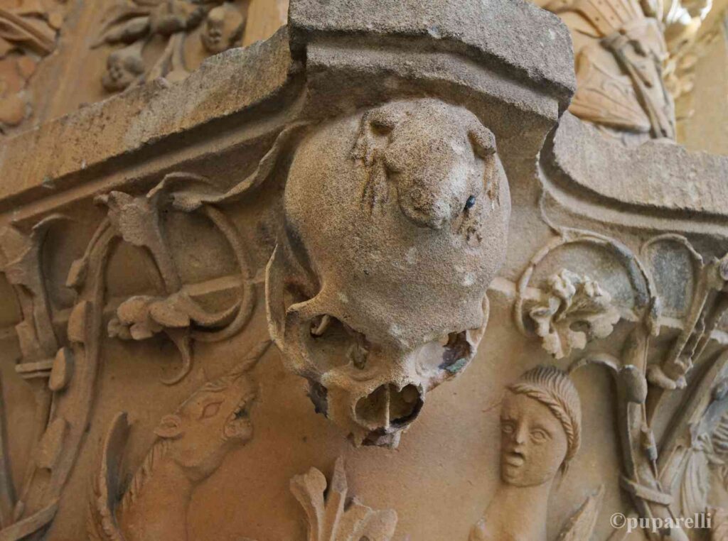 calavera-rana-salamanca Casa Lis y Universidad